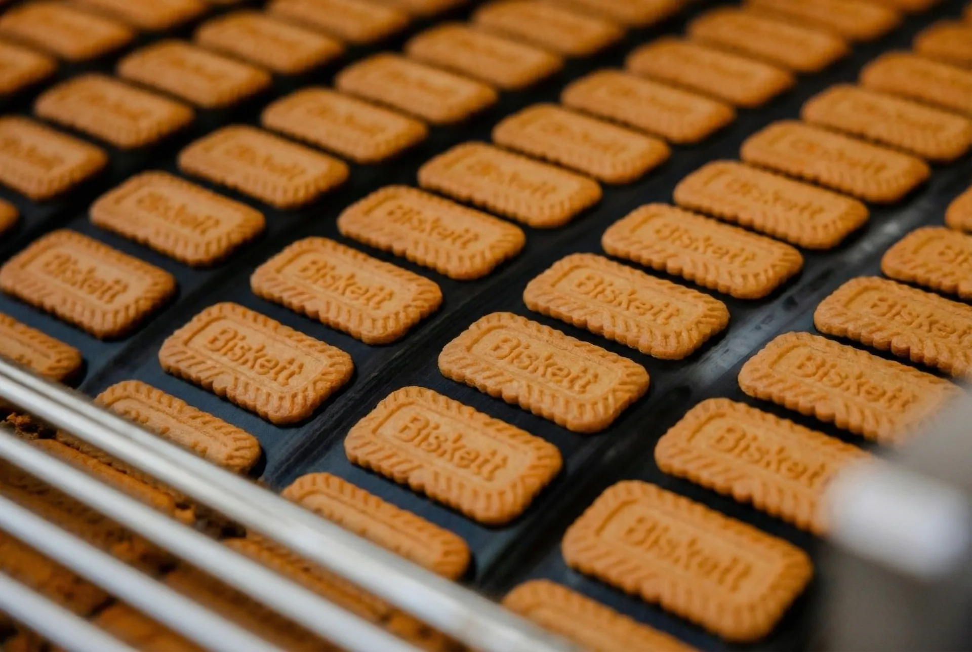Biskett biscuits on a production line